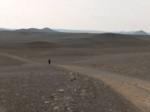 084 - deserto verso askja.jpg

312,31 KB 
2016 x 1509 
02/11/04
